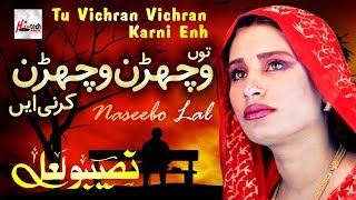 Tu Vichran Vichran Karni  Best of Naseebo Lal  HITECH MUSIC [upl. by Vanderhoek]