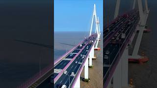 Expansion Gaps of bridge  🤷🤯 facts knowledge science respect safety amazing youtubeshorts [upl. by Jillie355]