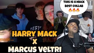 I Need A Album From H MACK amp VELTRI quotHarry MACK x Marcus Veltri quot Omegle Bars 32 REACTION [upl. by Lohner]