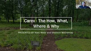 Carex The How What Where amp Why [upl. by Inimod]