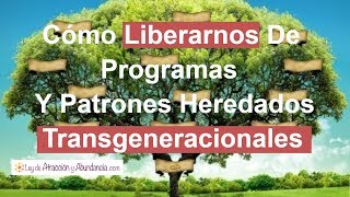 Cómo Liberarnos De Programas Y Patrones Heredados Transgeneracionales [upl. by Aubin625]