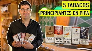 5 TABACOS para EMPEZAR a fumar en PIPA  Principiantes  Cigar Specialist [upl. by Salomo]