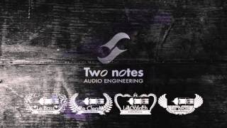 Two notes Le Preamp Teaser [upl. by Tybald444]