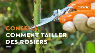 Conseils  Comment tailler les rosiers  STIHL [upl. by Ferris284]