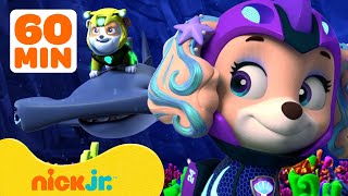 PAW Patrols BEST Water Rescues 🌊 w Coral Rubble Skye amp Chase  1 Hour Compilation  Nick Jr [upl. by Bej284]