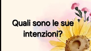 Quali sono le sue intenzioni Tarocchi Interattivo [upl. by Ettezus979]