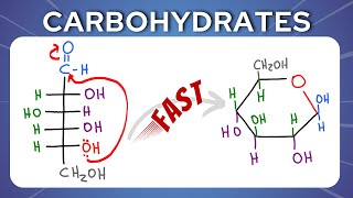 Fischer to Haworth shortcut for Glucose and Fructose [upl. by Kal223]