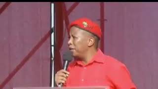 Patrice Motsepe must be careful  Julius Malema [upl. by Naxela]