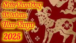 Shio KAMBING di tahun 2025  Peruntungan di tahun ULAR KAYU  Imlek 2576 [upl. by Euginimod]