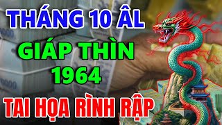 Xem tử vi tháng 10 âm lịch tuổi GIÁP THÌN 1964 gặp ĐẠI HẠN cẩn thận TÁN GIA BẠI SẢN [upl. by Bayless944]