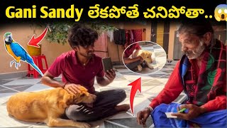 Gani Sandy లేకపోతే చనిపోతా😱  మాంత్రికుడు House కి వచ్చాడు  సమాధి కట్టాలంట…🥺  80 years [upl. by Kulsrud26]