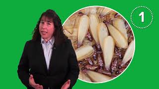 5 Signs You Might Have Termites [upl. by Yzeerb]