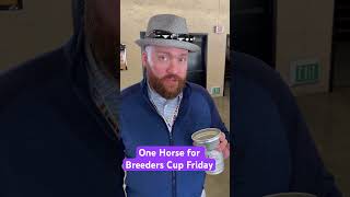 One horse for Breeders’ Cup Friday breederscup horseracing horseracingtips [upl. by Secilu594]