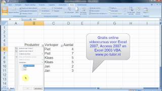 Sorteer fout in de Filters van Excel 2007 [upl. by Tresa757]
