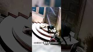 Leopard Invades Neighborhood and Targets Guard Dog shorts viralvideo [upl. by Harihat]