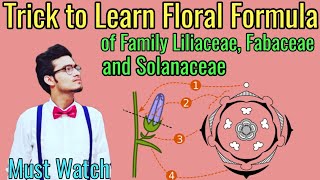 Trick to Write Floral Formulas of Family Fabaceae Solanaceae amp Liliaceae  Morphology via NCERT [upl. by Teilo]