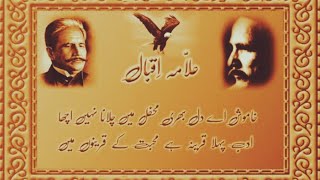 Top 10 Alama Iqbal shayri  rekhetfacts poetry [upl. by Celle]