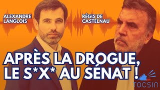 Bayrou sxtape JO  la débâcle des institutions   Alexandre Langlois et Régis de Castelnau [upl. by Worsham]