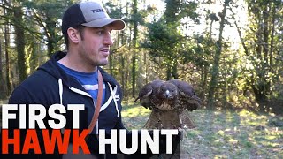 First Time Hunting With My Hawk  Falconry Apprentice [upl. by Anauq]