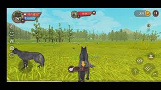 wildcraft Animal Sim online 3d gameplay gameplay lomdi lomdi [upl. by Daahsar819]