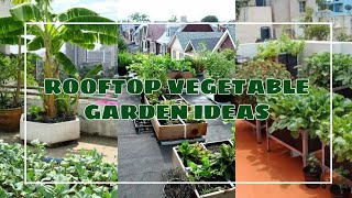 ROOFTOP VEGETABLE GARDEN IDEAS  diy gardening ideas [upl. by Ariuqahs761]