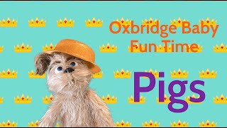 Oxbridge Baby Fun Time  Pigs [upl. by Weidner]