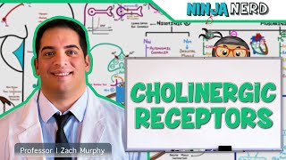 Neurology  Cholinergic Receptors [upl. by Ecenahs116]