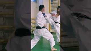 Gyaku Mikazuki geri karate martialarts [upl. by Yenettirb]