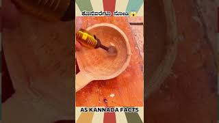 Bamboos Spoon Making Fact Video  kannada facts karnataka amazing youtubeshorts trendingshorts [upl. by Bilow]