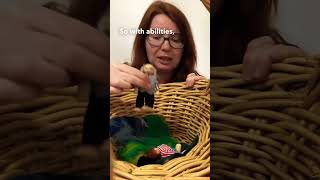 Story basket how to make for early childhood educators [upl. by Tsirc]