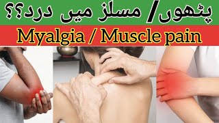 What is Myalgia muscle pain  causes of myalgia symptoms Treatment of Myalgia in HindiUrdu [upl. by Laekcim234]