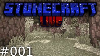 Pierwszy Stream z StoneCraft  001  Wchodzimy do Netheru i rozwijamy wioskę [upl. by Ahsoyek]