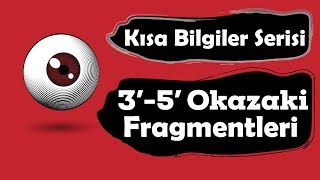 Tüm Kavramlarla Genden Proteine 35 ve Okazaki Fragmentleri [upl. by Rehpotsrhc]