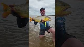 Excelente pesca de Dorados en banco de arena de Esquina Corrientes [upl. by Nash643]