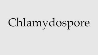 How to Pronounce Chlamydospore [upl. by Deeann]