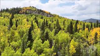 09152024 Cripple Creek Colorado  The beginning of fall colors in Colorado [upl. by Delores]