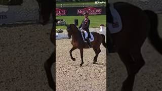 Carl Hester and Fame British dressage team paris2024 shortvideos equestrian viralvideos winner [upl. by Scheck564]