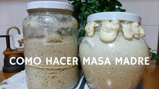 Como hacer masa madre  Receta casera para hacer pan en casa [upl. by Klotz]