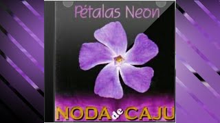 NODA DE CAJU  Pétalas Neon com letra [upl. by Eade]