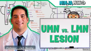 Neurology  Upper Motor Neuron vs Lower Motor Neuron Lesion  UMN vs LMN Lesion [upl. by Gladwin]