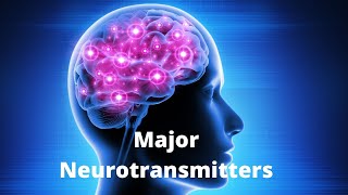 What Are the 7 Major Neurotransmitters and Their Role in Diseases [upl. by Aneert]