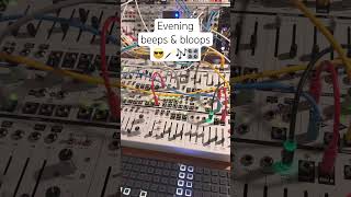 Fun with intellijel Metropolix Cascadia amp Sealegs Support by QuBitElectronix Mohave granular [upl. by Cuthbert]