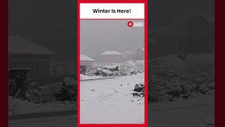 Watch Stunning Visuals of Fresh Snowfall In Bandipora JampK [upl. by Ruben]