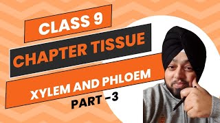 Tissue chapter class 9 plant tissue I tissues class 9 full chapter plant tissueTISSUE PLANT TISSUE [upl. by Naman]