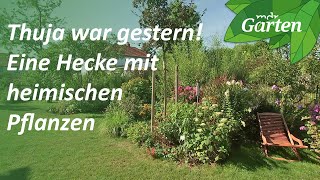 Statt Thuja Eine gemischte Hecke gestalten  Naturgarten  MDR Garten [upl. by Rabkin]