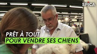 Prêts à tout pour vendre ses chiens [upl. by Yenroc]