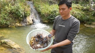 Catch crabs to cook and sell pomelos Robert  Green forest life [upl. by Yendic107]