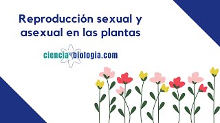 Reproducción asexual y sexual en las plantas [upl. by Eniamahs]