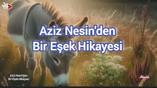 Aziz Nesinden quotBir Eşek Hikayesiquot [upl. by Palla421]