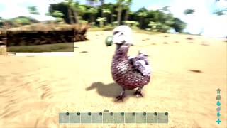 HOW TO GET FROM LVL 1 TO 24 IN 5 MINS EASY Ark Survival Evolved [upl. by Pembroke]